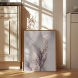 Pampas Grass Poster och Canvastavla