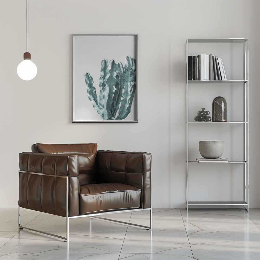 Boho Cactus No.2 Poster och Canvastavla
