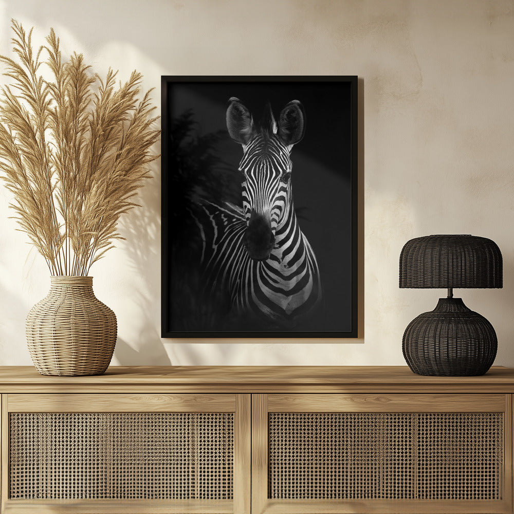 The Zebra Poster och Canvastavla