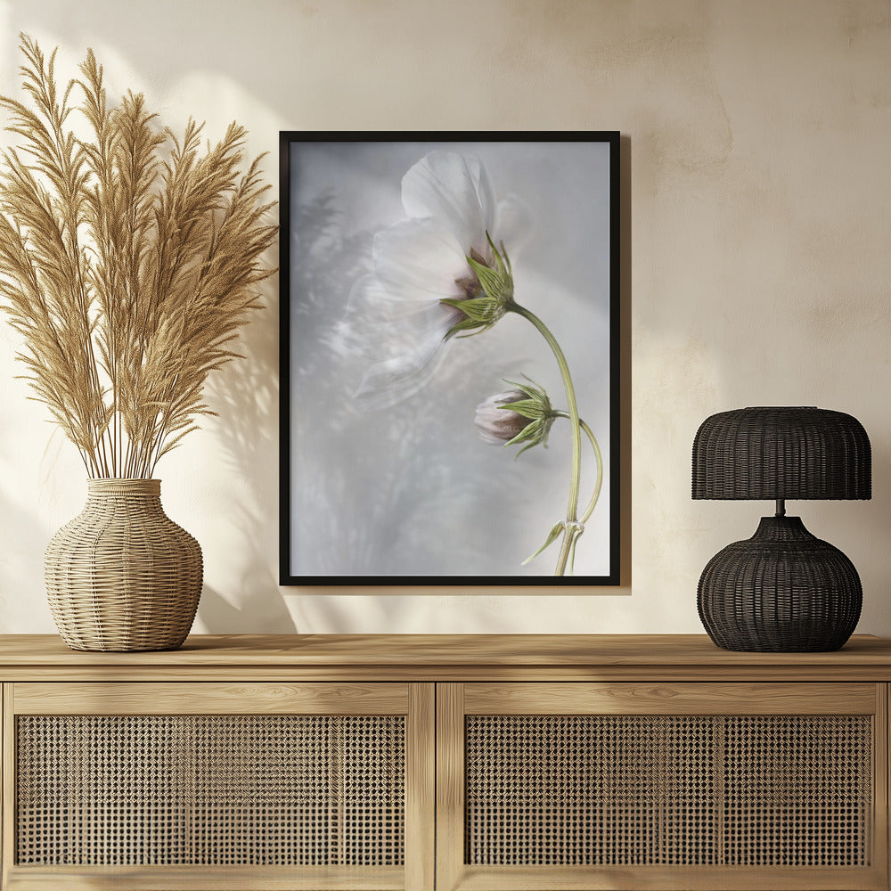 Heavenly Cosmos Poster och Canvastavla