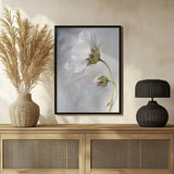 Heavenly Cosmos Poster och Canvastavla