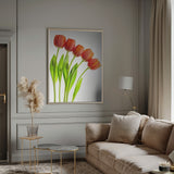 five tulips Poster och Canvastavla