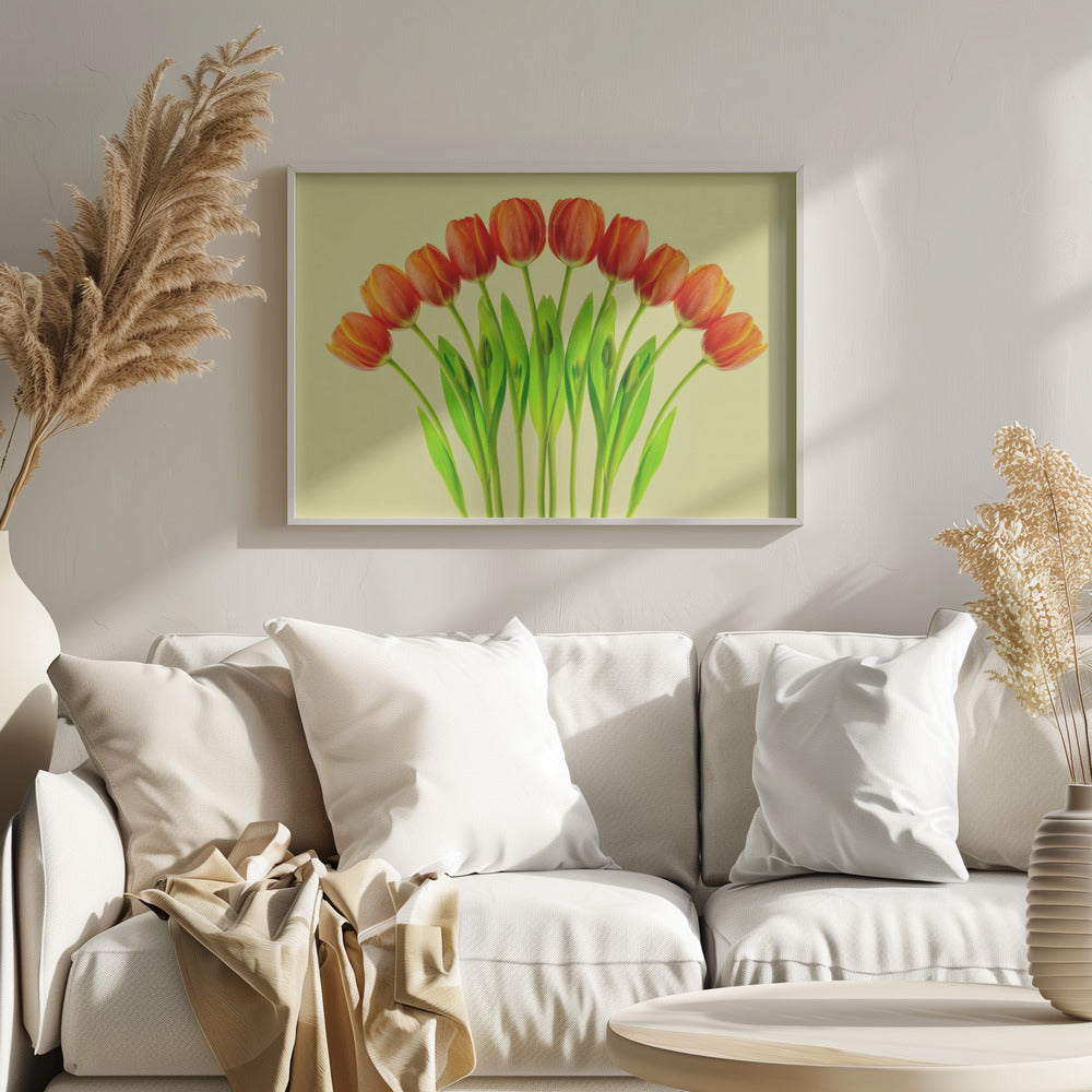 bouquet of tulips Poster och Canvastavla