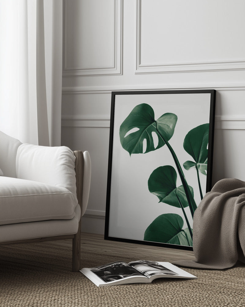Monstera Natural 38 Poster och Canvastavla