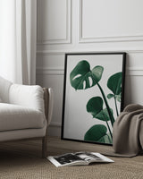 Monstera Natural 38 Poster och Canvastavla