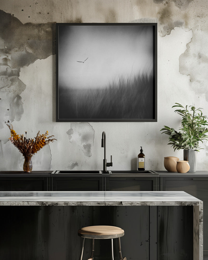 Seagull Poster och Canvastavla