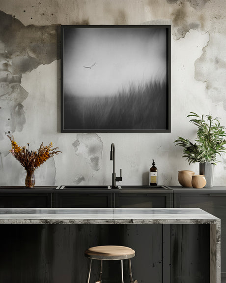 Seagull Poster och Canvastavla