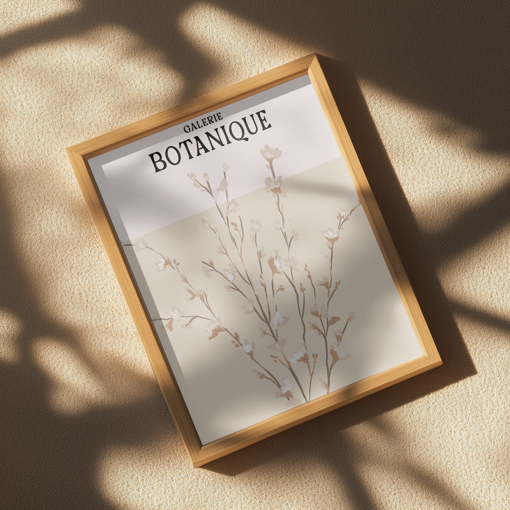 Galeriebotaniqueno5 Poster och Canvastavla