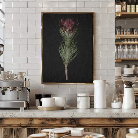 Protea Poster och Canvastavla