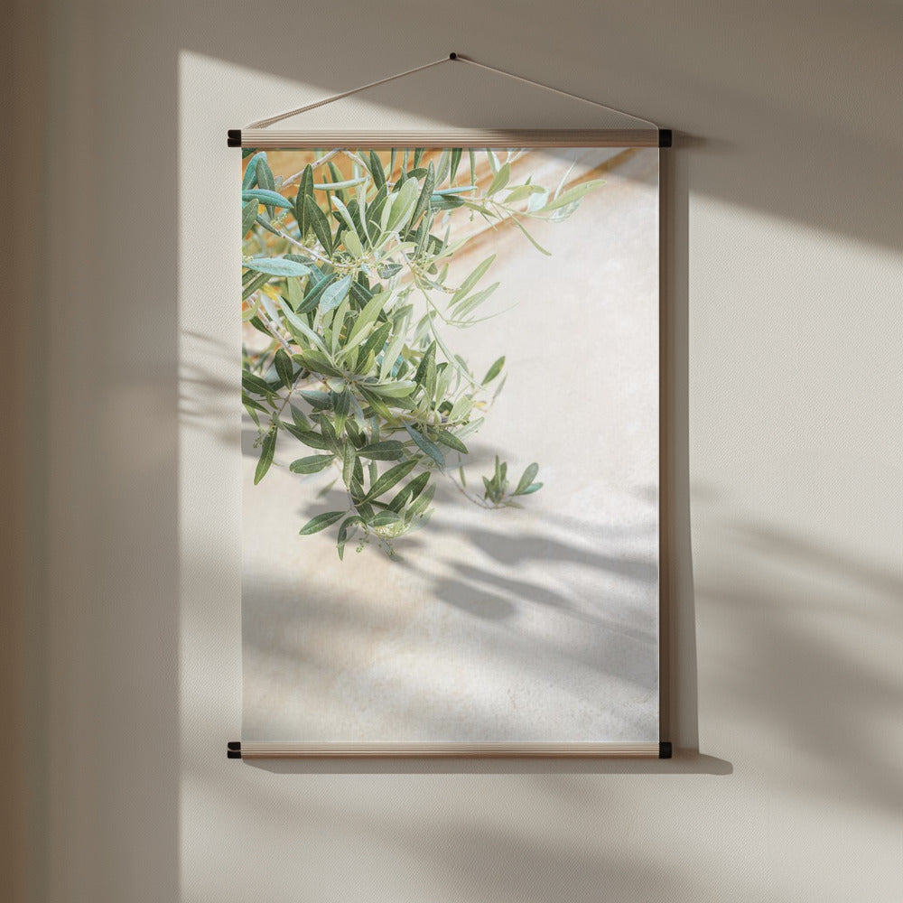 Olive Tree Leaves Poster och Canvastavla