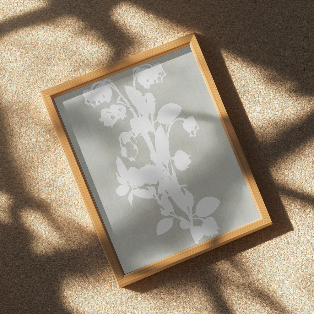 Botanical Illustration 4 Poster och Canvastavla