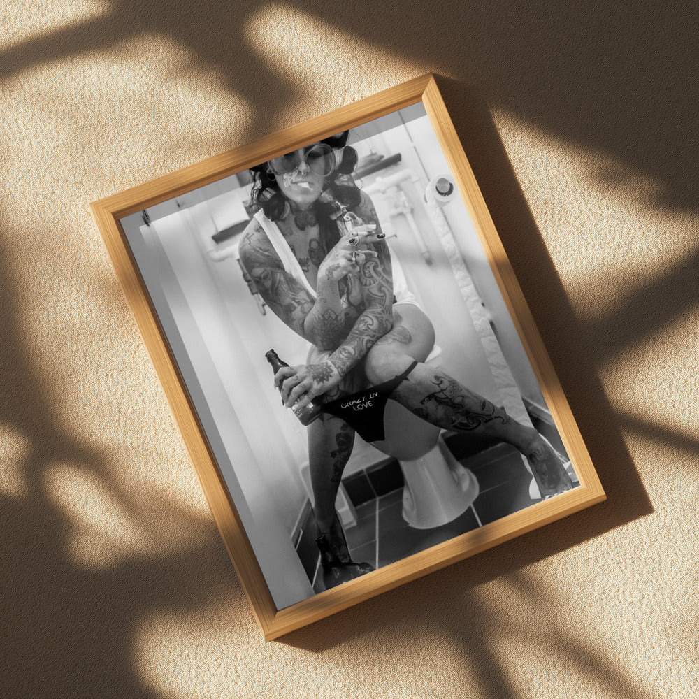 WC Poster och Canvastavla