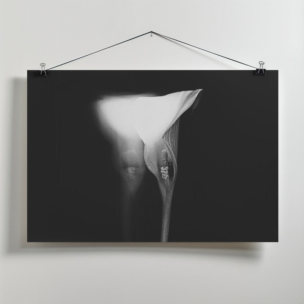 lucid dream Poster och Canvastavla