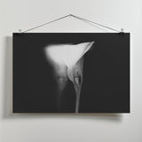 lucid dream Poster och Canvastavla