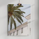Tropical Menton Poster och Canvastavla