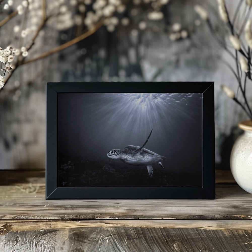 The deep Poster och Canvastavla