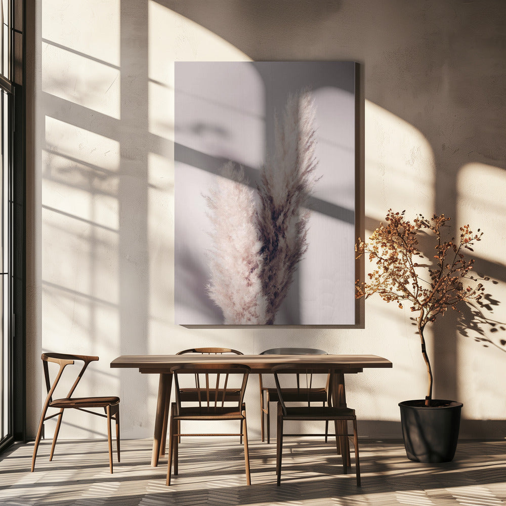 Pampas Grass Poster och Canvastavla