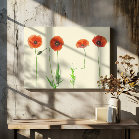 poppy quartet Poster och Canvastavla