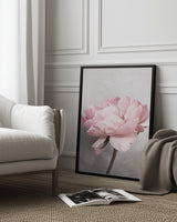 Peony Poster och Canvastavla