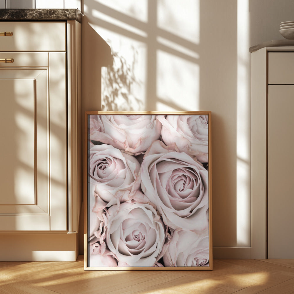 Pink Roses No 01 Poster och Canvastavla
