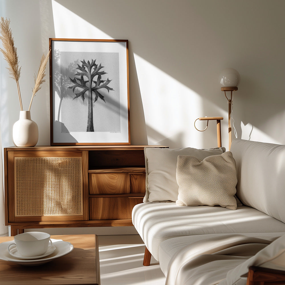 Eryngium Bourgatii Poster och Canvastavla
