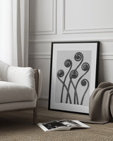 Adiantum pedatum Poster och Canvastavla