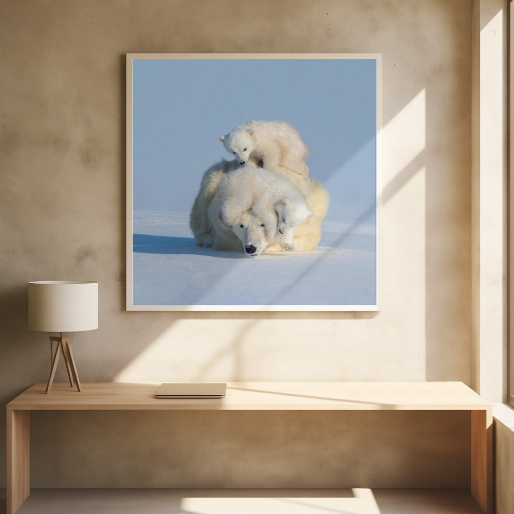 Patient mom Poster och Canvastavla