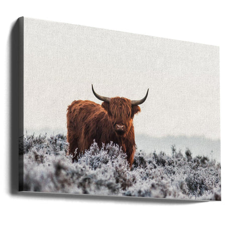 Highlander Poster och Canvastavla