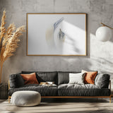 Greeting between a couple of Gannets Poster och Canvastavla