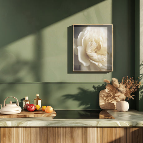 Peonyinsoftlight Poster och Canvastavla
