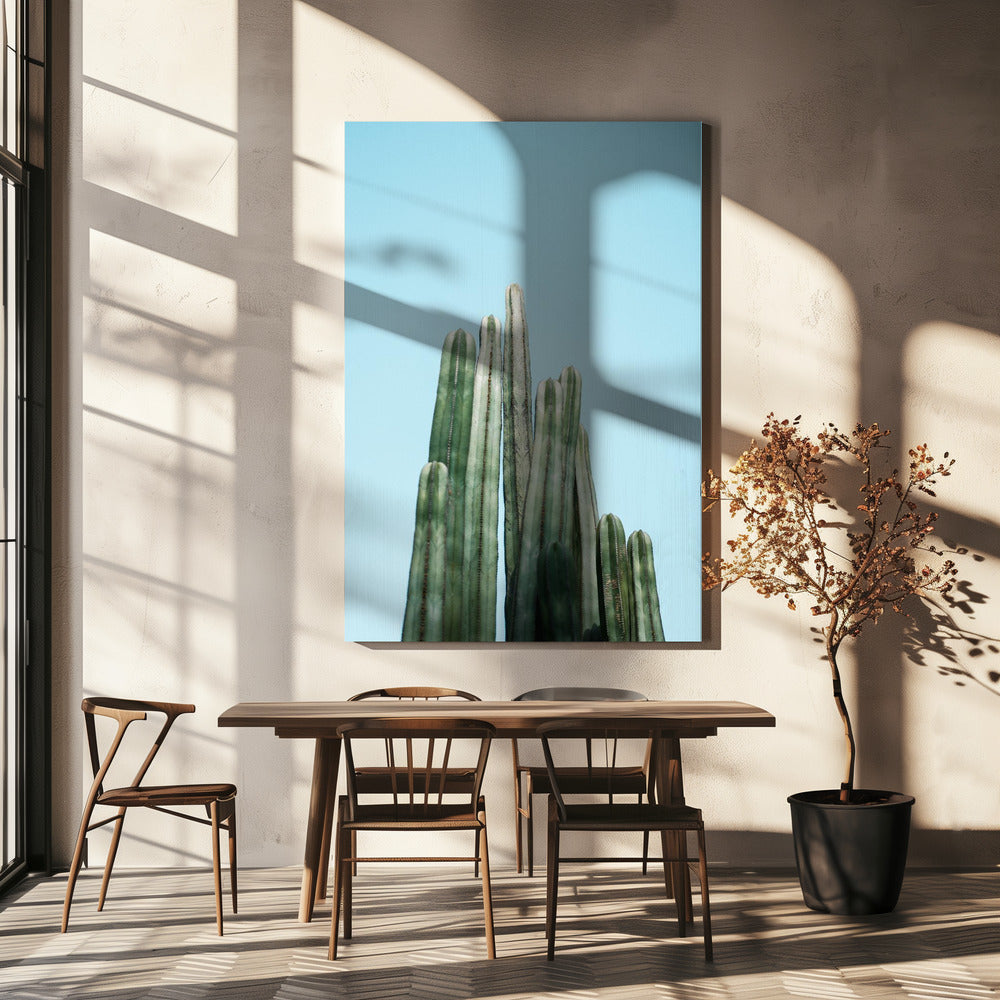 Cacti Poster och Canvastavla