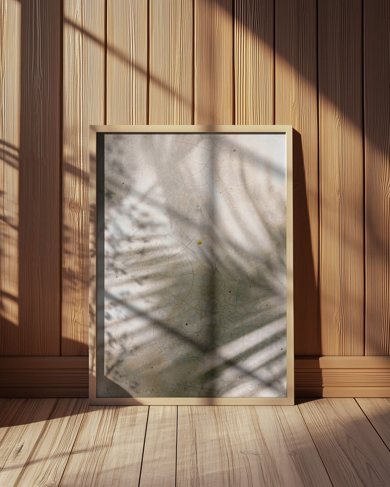 Palm Shadows Poster och Canvastavla