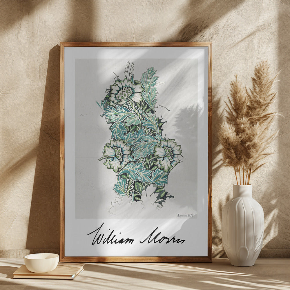 Anemone Poster och Canvastavla