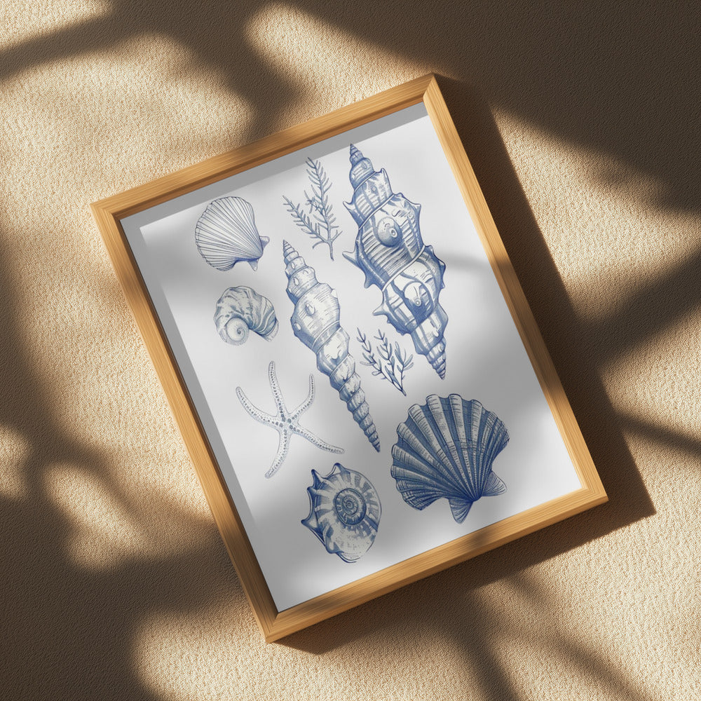 11x14 Shell Collage Poster och Canvastavla