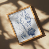 11x14 Shell Collage Poster och Canvastavla