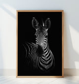 The Zebra Poster och Canvastavla