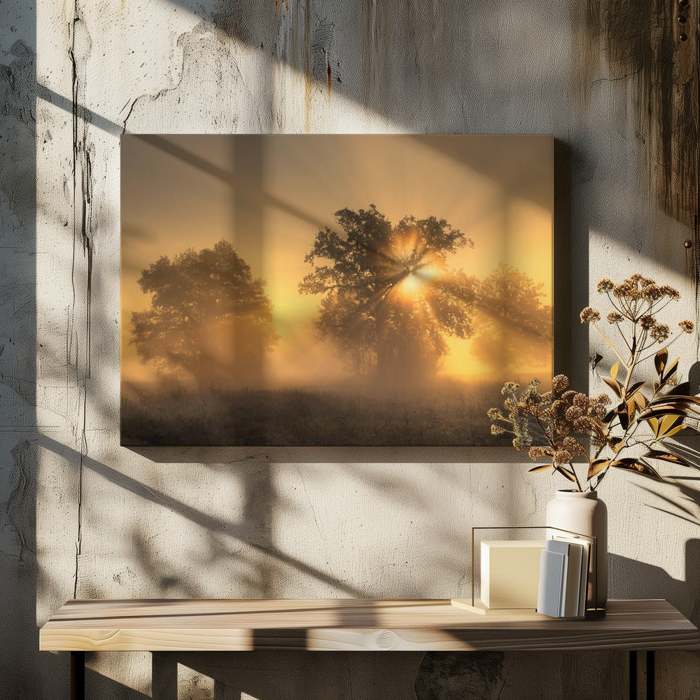 Light Poster och Canvastavla