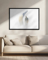 Greeting between a couple of Gannets Poster och Canvastavla