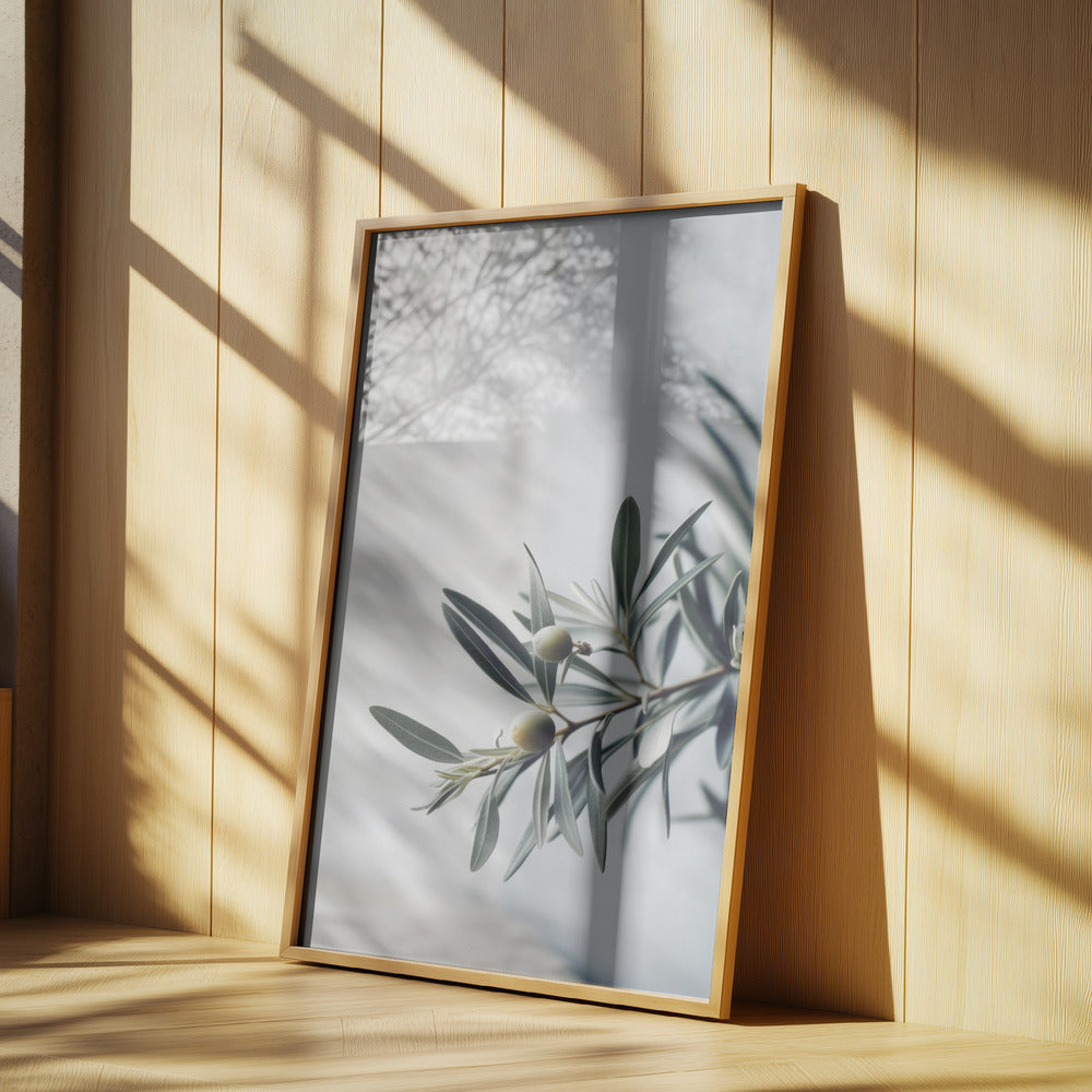 Olives Poster och Canvastavla