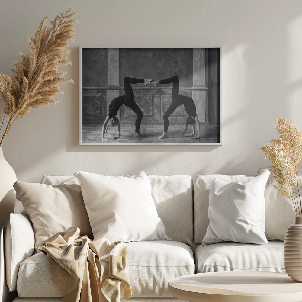 Twins Poster och Canvastavla