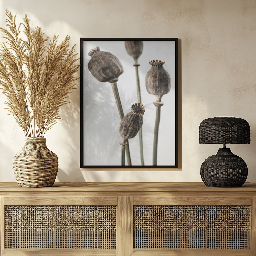 Dried_006 Poster och Canvastavla