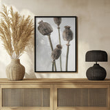 Dried_006 Poster och Canvastavla