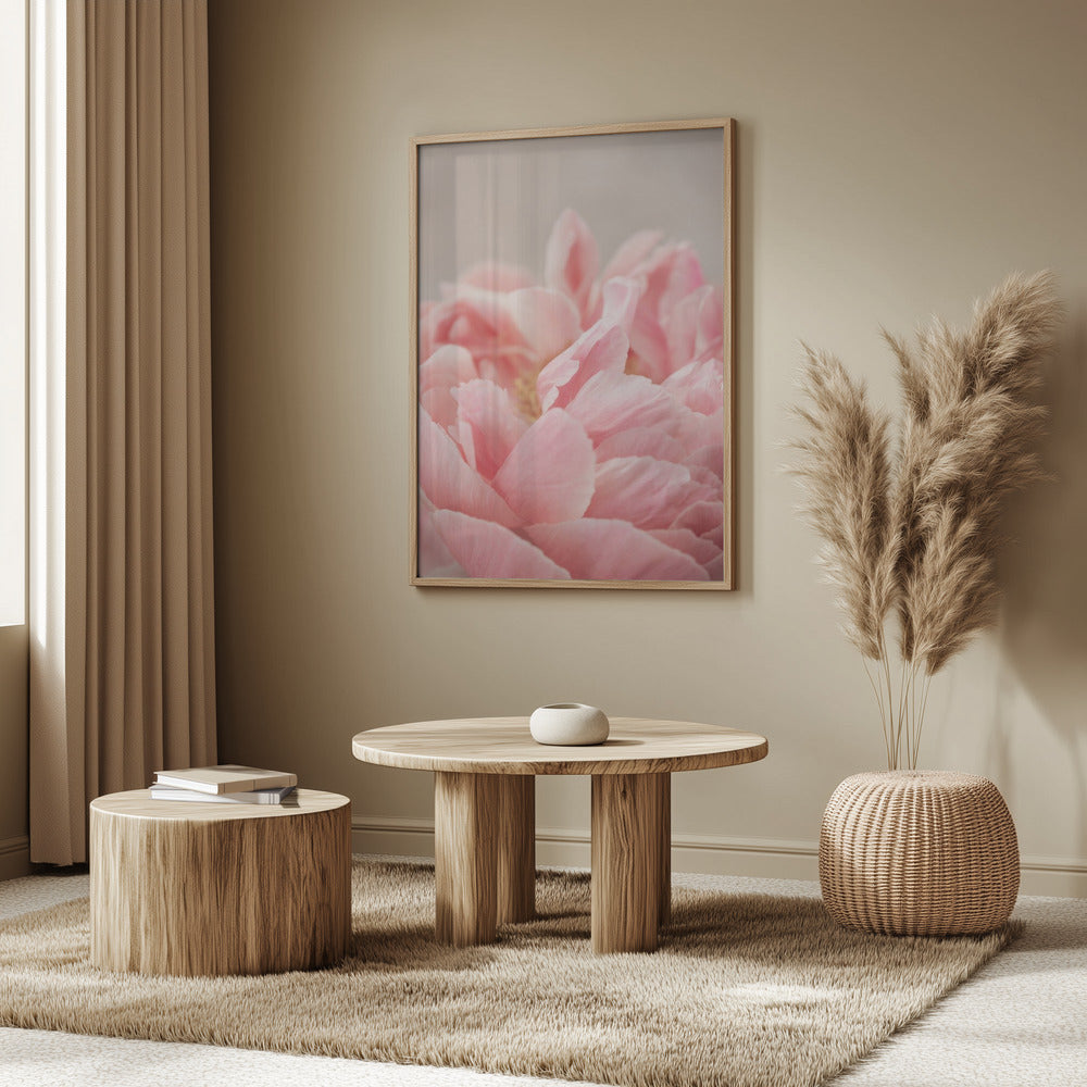 Peony 4 Poster och Canvastavla