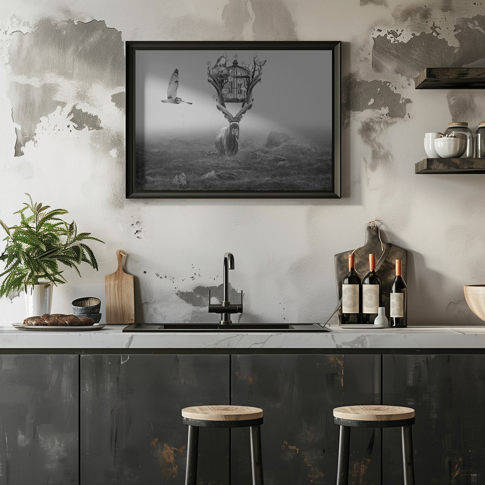 Antelope Poster och Canvastavla