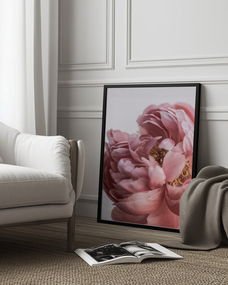 Peony Poster och Canvastavla