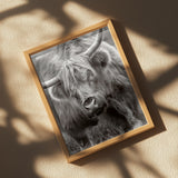 The Bull Poster och Canvastavla