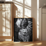 Yin and Yang Poster och Canvastavla