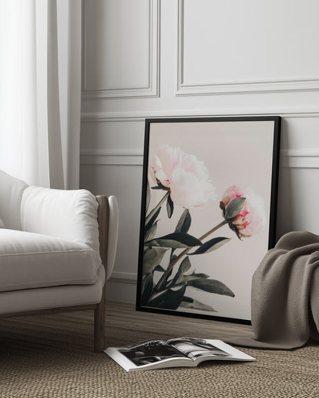 Peony 23 Poster och Canvastavla