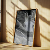 Look Poster och Canvastavla