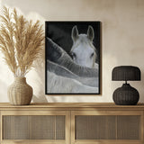 Look Poster och Canvastavla